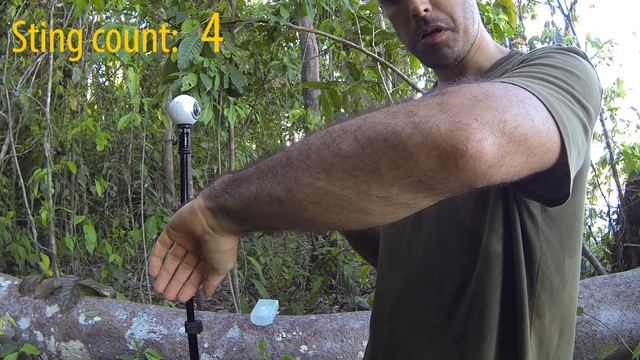 Six Bullet Ant Stings смотреть онлайн
