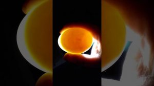 овоскопирование яйца на 4й день