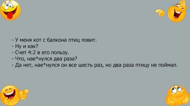 Анекдот про то как кот с балкона птиц ловил смотреть онлайн