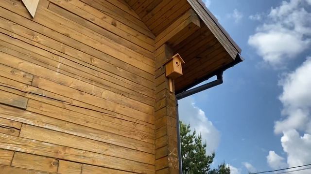 Огород 07 июня 2020) Сажаем,поливаем,подвязываем!) смотреть онлайн