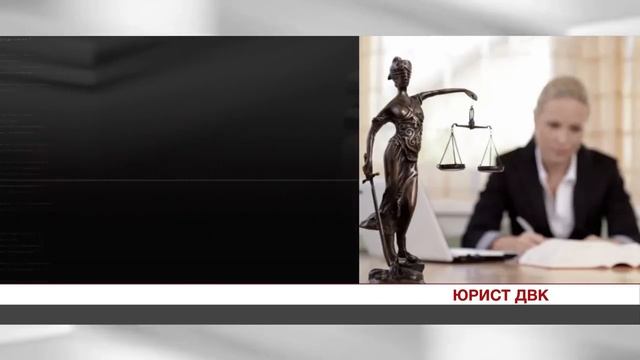 ЕСЛИ В ДВЕРЬ СТУЧИТ ПОЛИЦИЯ, ЧТО ДЕЛАТЬ? /ШтабДВК смотреть онлайн