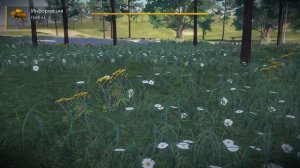 Farmers Dynasty Книга рецепты блюда из мёда