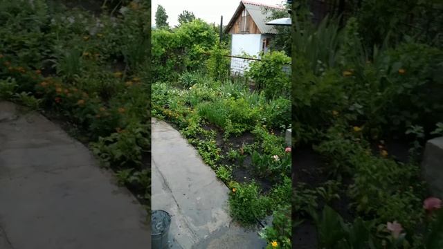 ☔ Летний дождь с грозой☔ смотреть онлайн