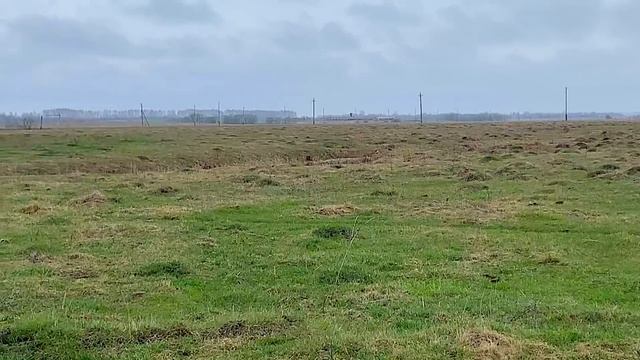 ПОКУПАЕМ ДОМ В ГЛУХОЙ ДЕРЕВНЕ ЗА 100К! смотреть онлайн