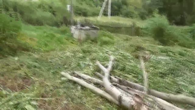 Освобождение дома от зарослей. 13. 07. 2018 смотреть онлайн