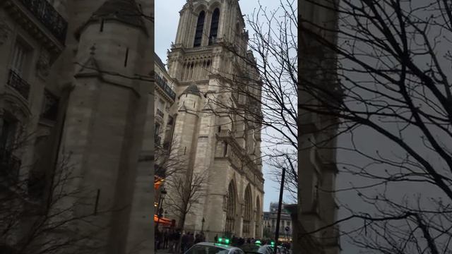 Bells Of Notre Dame смотреть онлайн