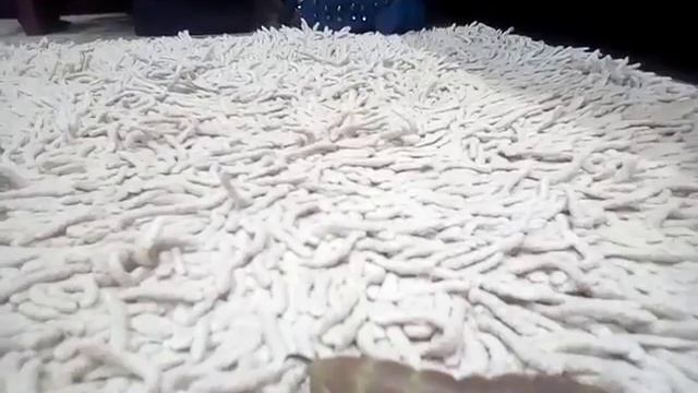 Гусеница липового бражника! Обновление! Новый жилец! смотреть онлайн