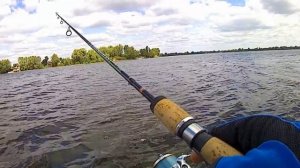 Энгельс. Окунь и голавль на силиконовые приманки. Холодное начало лета..mp4