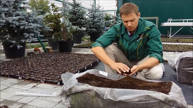 Готовим грунт для посадки клубники. смотреть онлайн