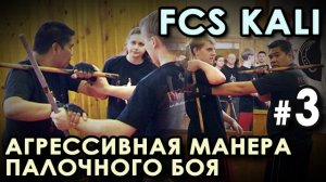 Агрессивная манера Палочного БОЯ Системы FCS – 1: техника входов.