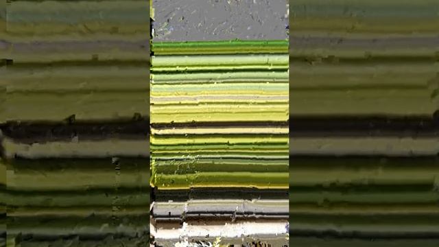 Пихта сибирская