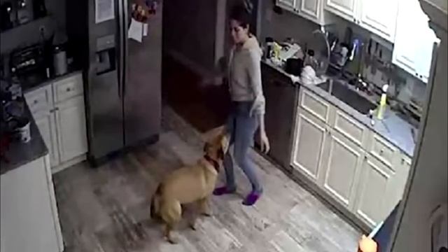 Парень установил дома скрытые камеры и узнал шокирующую правду... смотреть онлайн