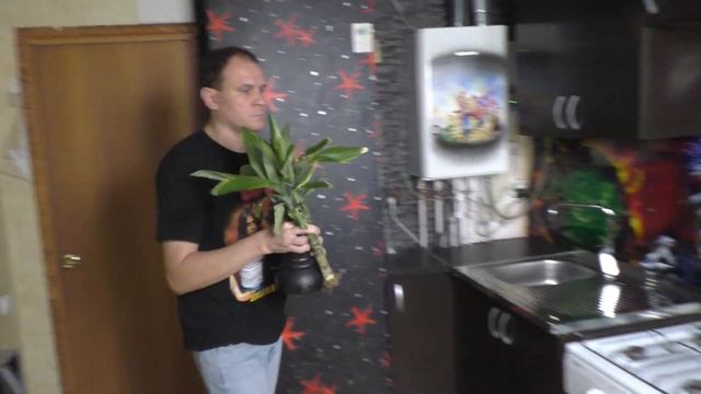 Гараж.Пятая серия смотреть онлайн