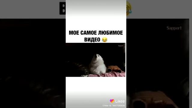 Собачя песня ???????? смотреть онлайн