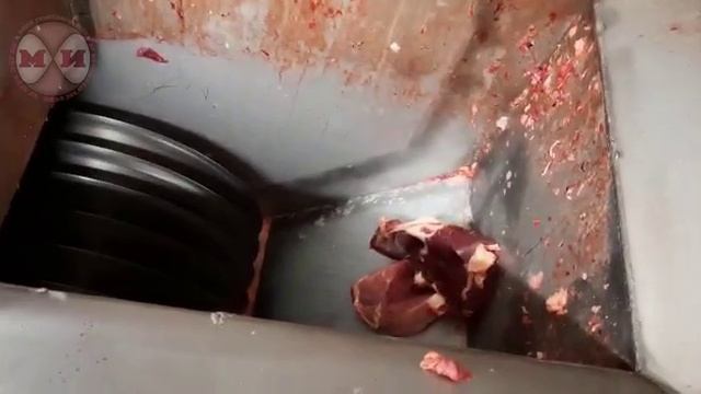 Машина нарезки соломкой дисковая двухплоскостная ММ-ФМД с элеватором