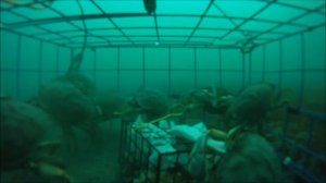 Ловля крабов. Подводная съемка. + БОНУС!!!