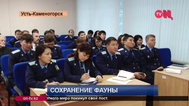 Сохранение фауны ВКО смотреть онлайн