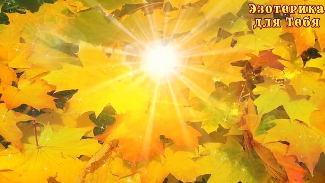 22 сентября возьмитесь за хлеб обеими руками и прошепчите смотреть онлайн