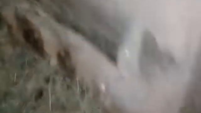 Наша живность зимой. смотреть онлайн