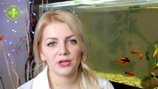 Почему Собака Гоняется За Хвостом & Зачем Собака Преследует Хвост. Ветклиника Био-Вет смотреть онлайн