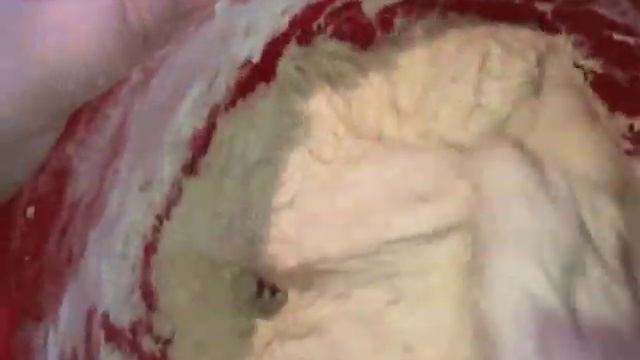 Жареные пироги с луком и яйцом в мультиварке смотреть онлайн