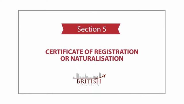 Lost, Stolen or Damaged Passports: How to Complete the Application Form смотреть онлайн