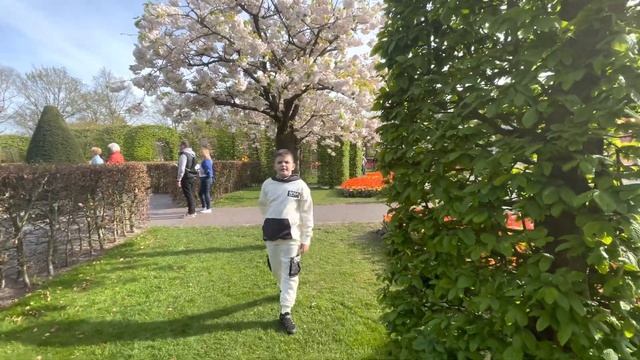 Королевский Парк Тюльпанов в Голландии/ Райский Парк Цветов Keukenhof смотреть онлайн