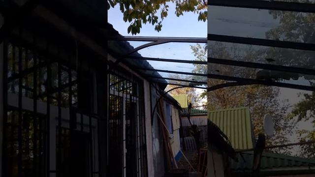 Козырек стекло