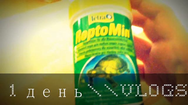 Меняем воду нашим животным)))) смотреть онлайн