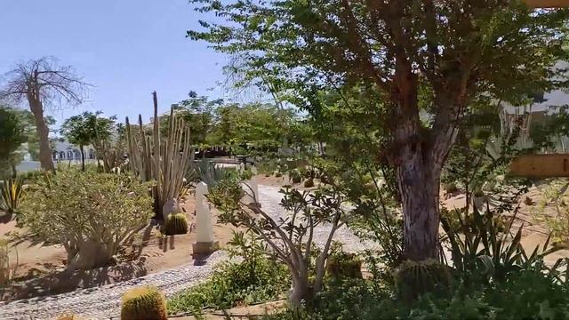 Reef Oasis Blue Bay Resort & Spa 5* Обзор 20.10.21 смотреть онлайн