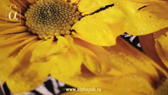 Изготовление подарочных пакетов смотреть онлайн