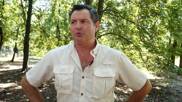 Почему в США сильная ЭПИДЕМИЯ? ЕДА В США портит иммунитет! Почему АМЕРИКАНЦЫ жирные? смотреть онлайн