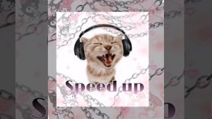 /ВРЕМЯ И СТЕКЛО / А МЫ НА СТИЛЕ/\Speed up/\