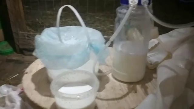 РУЧНОЙ ДОИЛЬНЫЙ АППАРАТ//ТЕСТИРУЮ? смотреть онлайн
