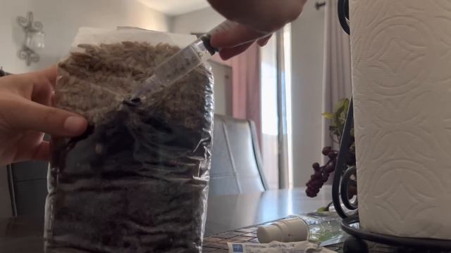 GROWING PSYCHEDELIC MUSHROOMS FOR THE FIRST TIME смотреть онлайн