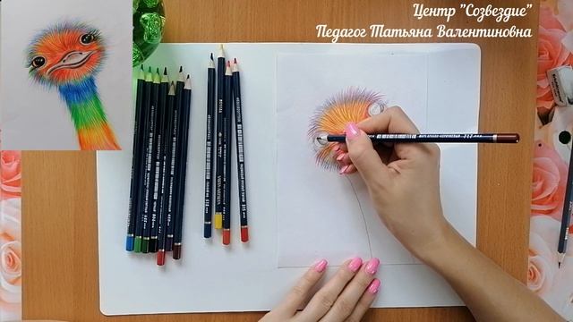 заРИСУЙ! радужного страусенка - полнометражный мастер-класс по рисованию цветными карандашами. смотреть онлайн