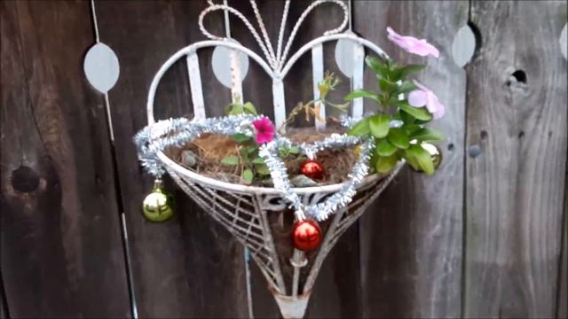 DUMPSTER DIVING ~ WILDER THAN A ROLLER COASTER ~ DOLLAR TREE & FIVE BELOW ~ PLUS A MYSTERY DUMPSTER смотреть онлайн