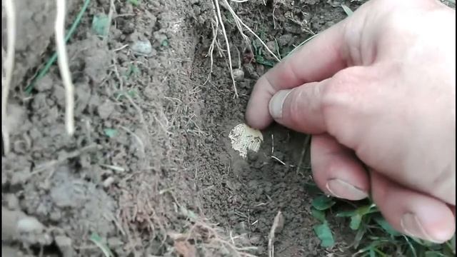 В этот раз, они не проехали мимо.Их вызвали по мою душу! смотреть онлайн