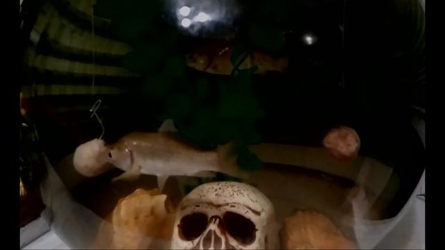 Активатор клёва на карася и карпа. Супер рыболовная насадка. смотреть онлайн