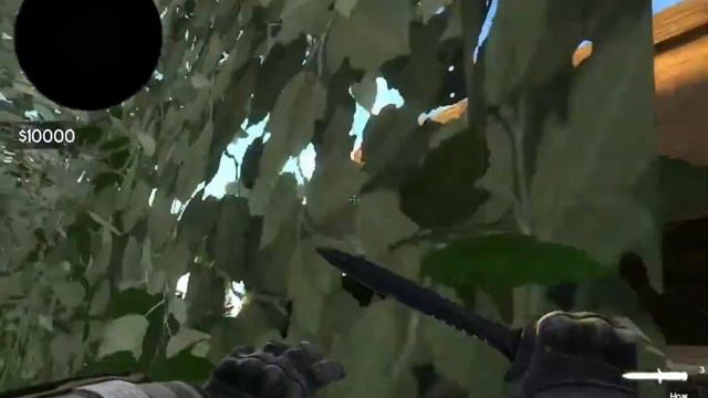 cs go / hide and seek с Димой и карлом смотреть онлайн