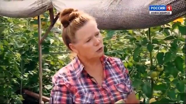 Болезни томатов. Шубина Людмила Николаевна. Сад Шубиной. смотреть онлайн