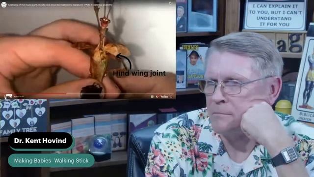 Making Babies- Walking Stick смотреть онлайн
