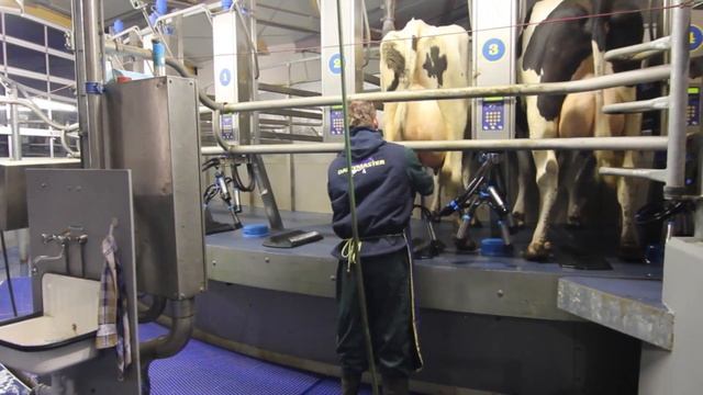 50 Point Rotary Milking Parlour [Netherlands] смотреть онлайн