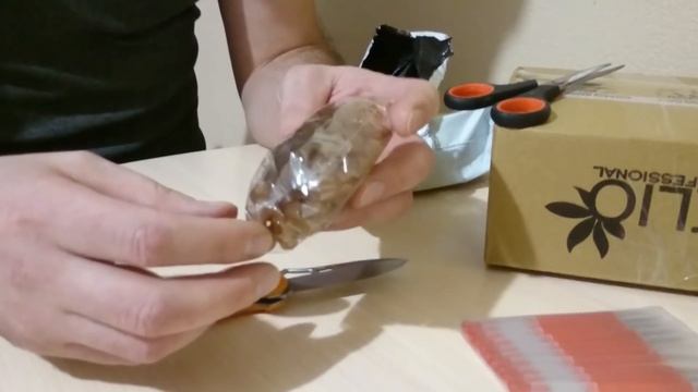 распаковка посылок для пчеловодства смотреть онлайн