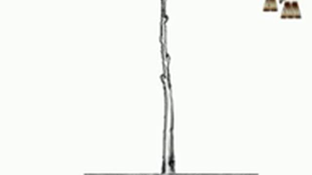 ? Как увеличить запас многолетней древесины в бесштамбовых формировках винограда? смотреть онлайн