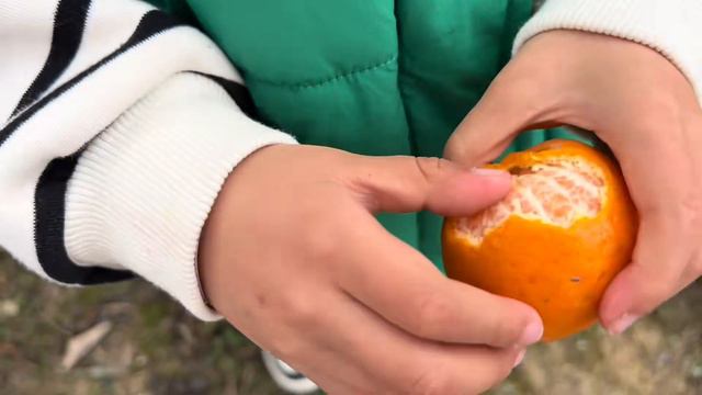 树上果子都坏了，8旬外公还舍不得吃，就等着4岁曾孙放假回来吃 смотреть онлайн