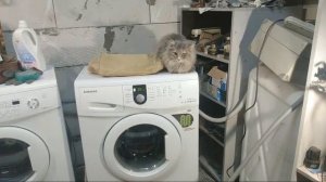 Самсунг Даймонд Стирка