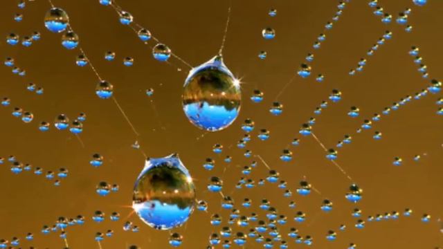 CHARLIE СHAPLIN: "Когда я начал любить себя..." смотреть онлайн