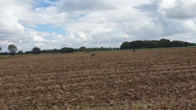 GOLD HAMMERED Coin | Silver + Roman Coins | YORKSHIRE RELIC HUNTER vs THE METAL DETECTING CHANNEL смотреть онлайн