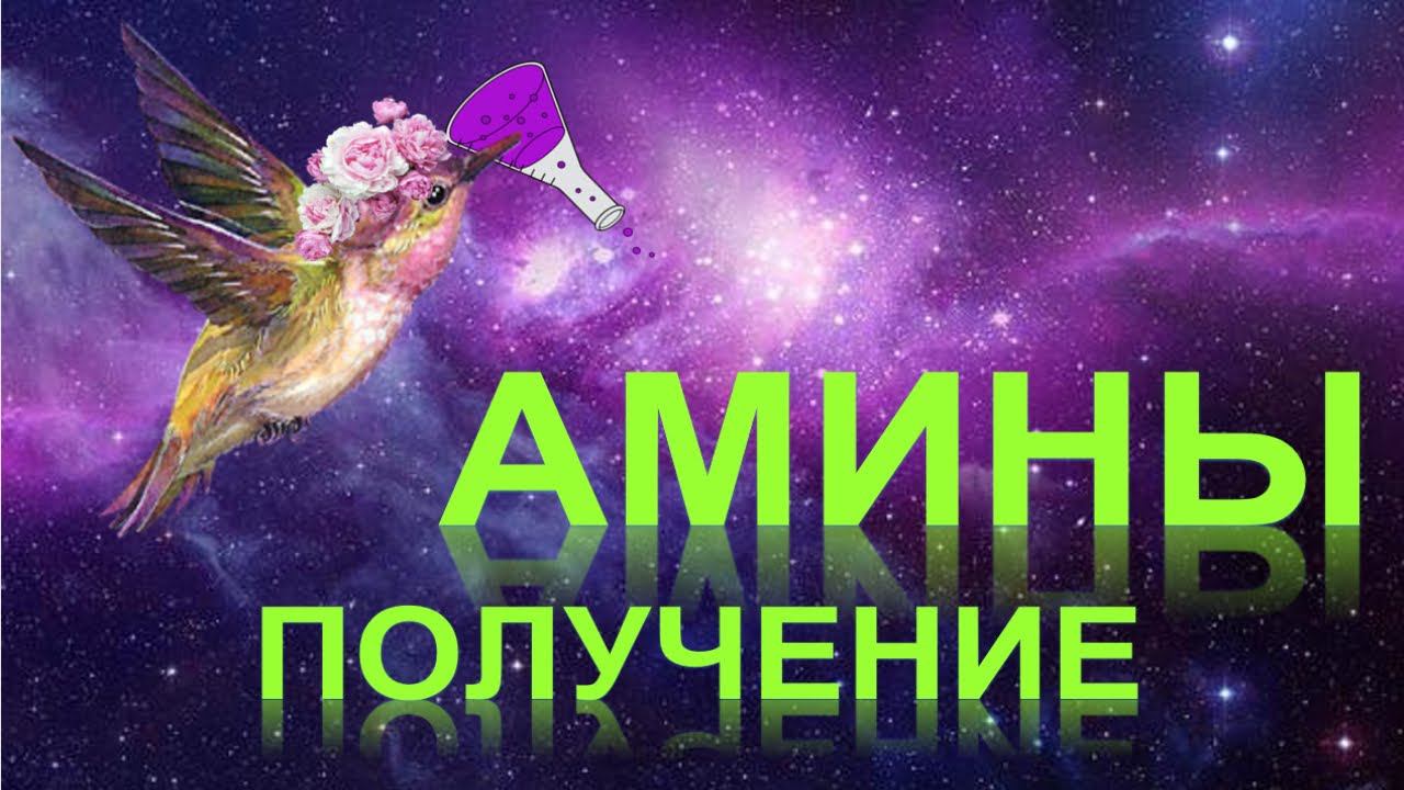 56. Амины (часть 2) смотреть онлайн